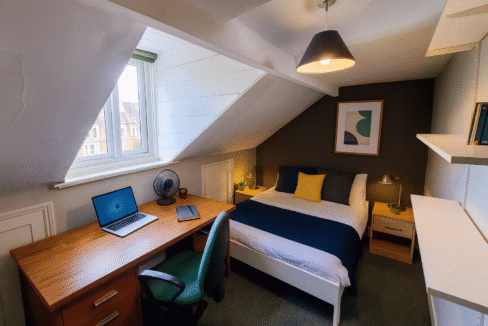 Image Nov 26, 2025, 01_34_41 PM